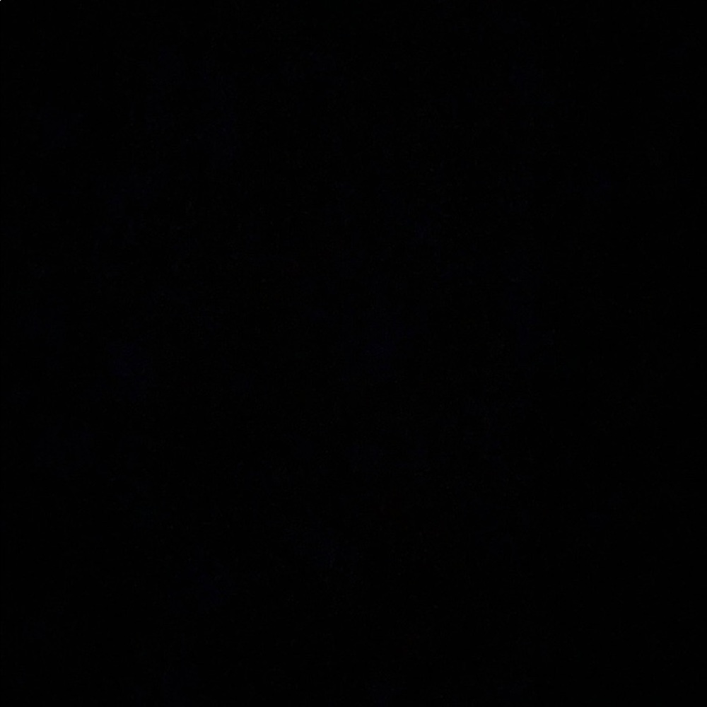 Meet your Posher, Lizzie